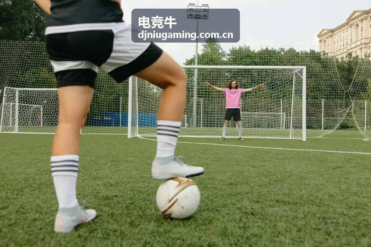 电竞牛攻略下路组合权优先级